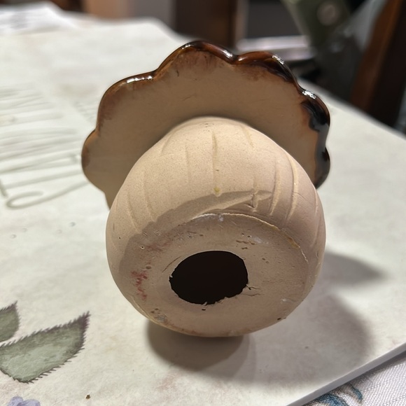 Mushroom - Picture 2 of 3